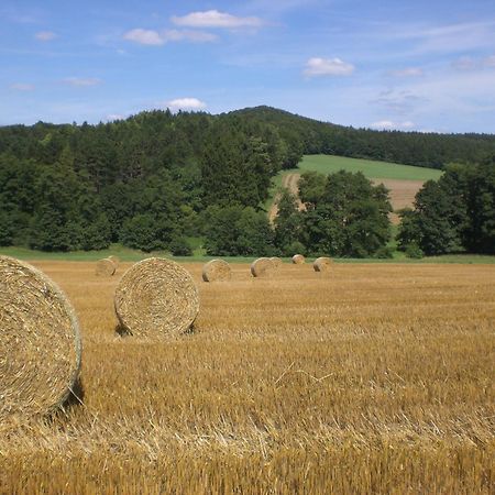 Ferienhof An Der Lay Kerpen  Ngoại thất bức ảnh
