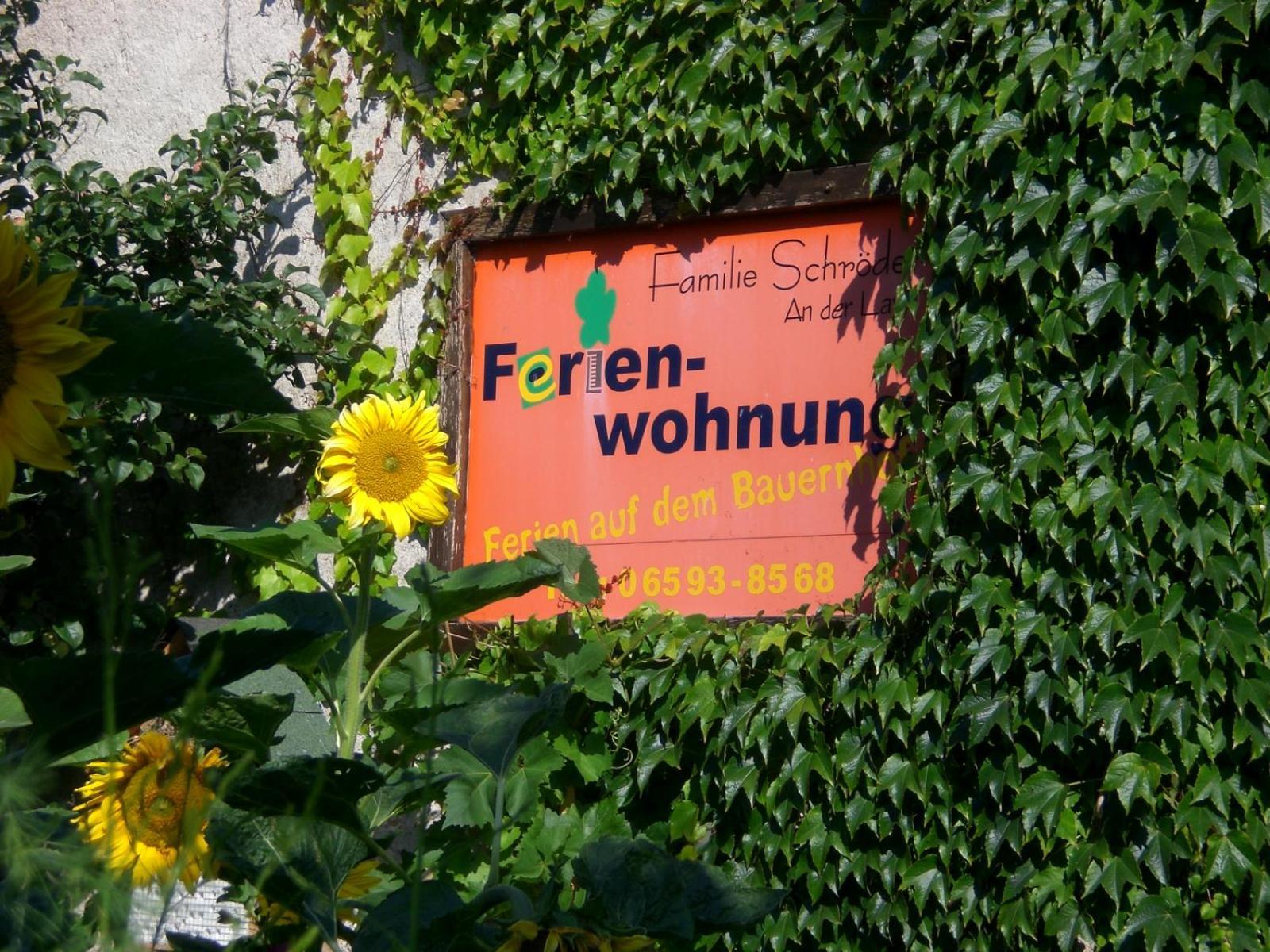 Ferienhof An Der Lay Kerpen  Ngoại thất bức ảnh