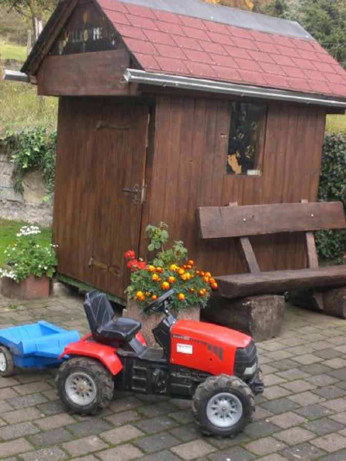 Ferienhof An Der Lay Kerpen  Ngoại thất bức ảnh
